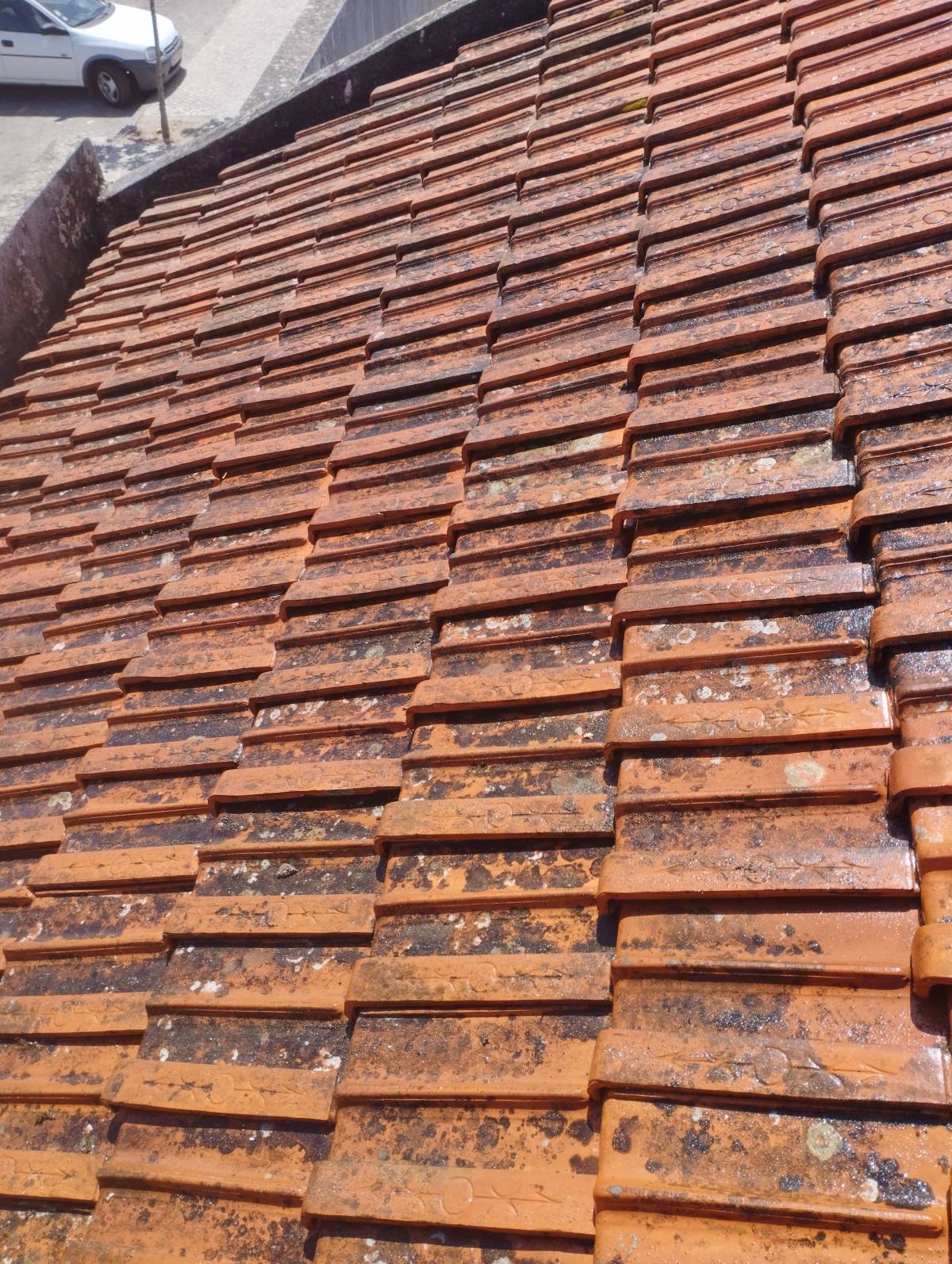 Mateus felipe - Leiria - Fireplace and Chimney Repair