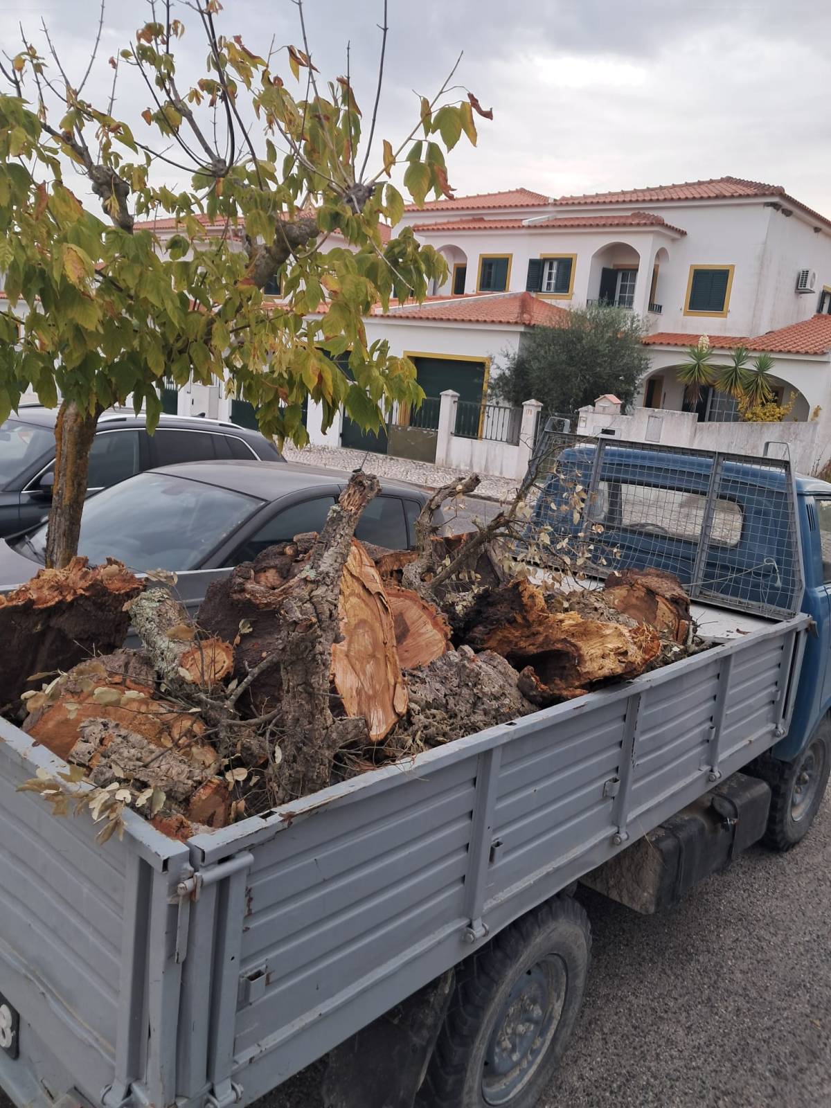 Recolha de resíduos - Seixal - Innenwand einbauen