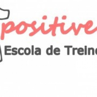 PositiveWay - Escola de Treino Animal - Condeixa-a-Nova - Dog Walking