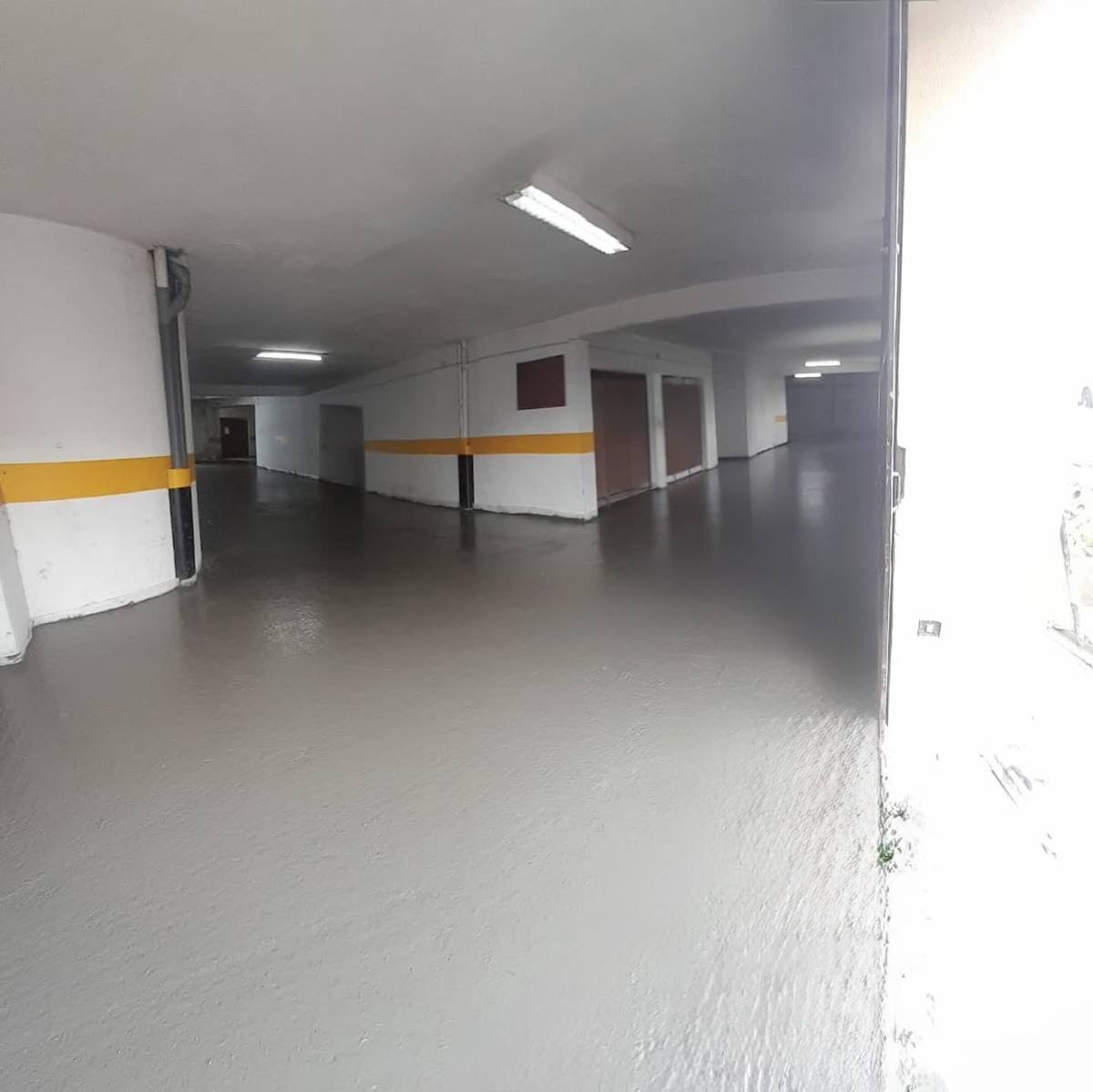 Imoconstruções - Alcácer do Sal - Baumpflege
