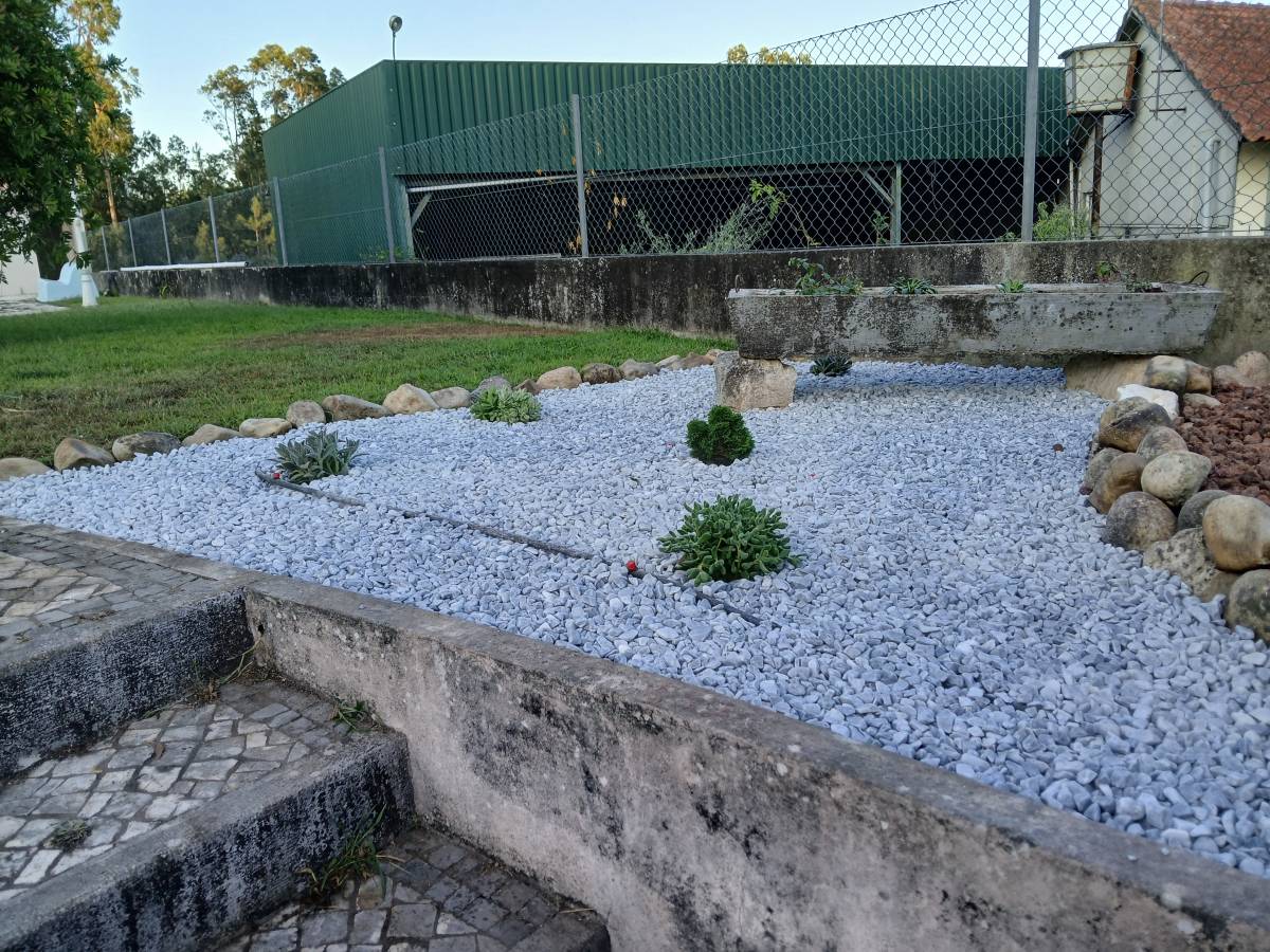 GardenSardet - Leiria - Remoção de Arbustos