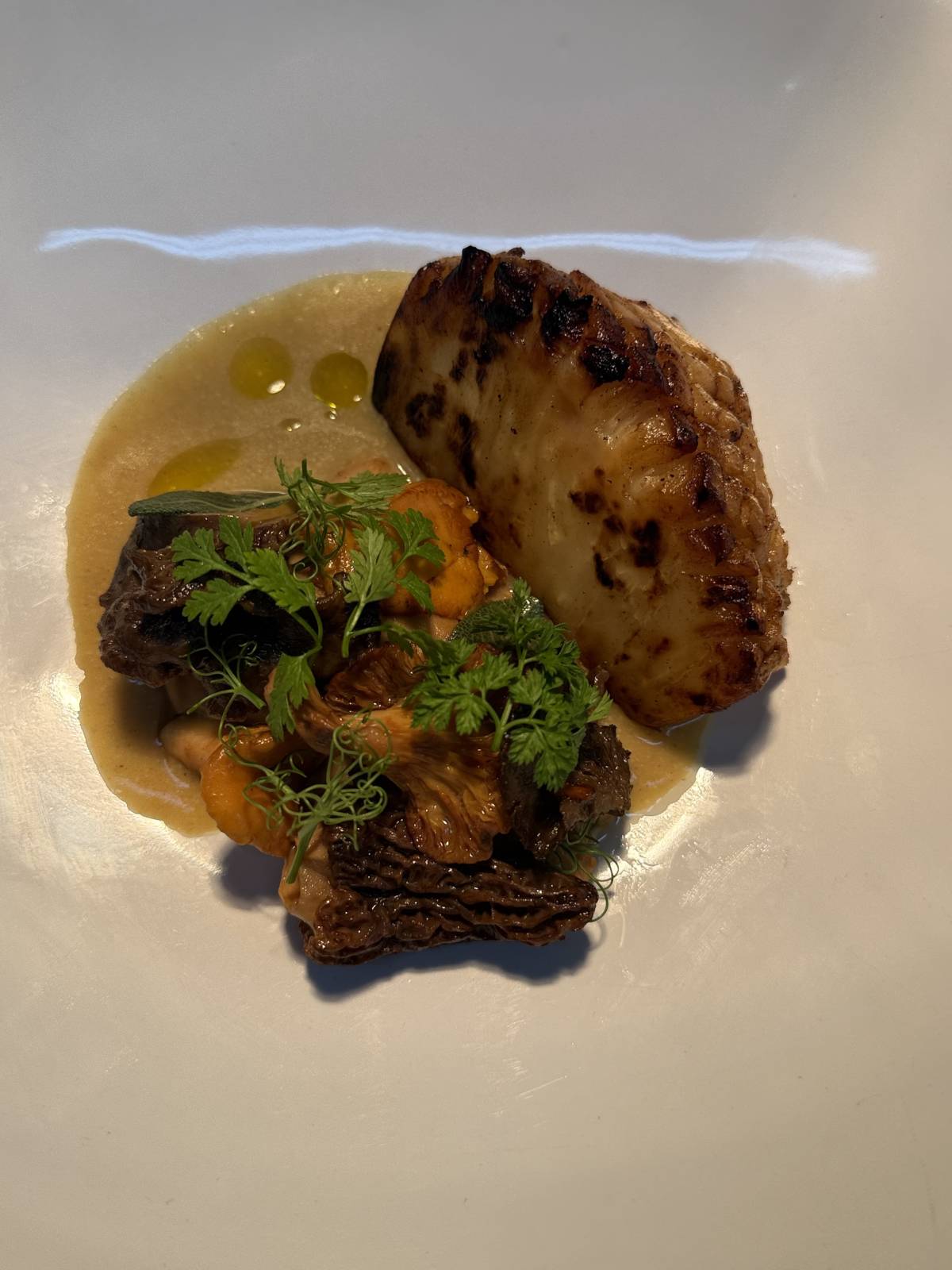 Chef Bruno Tote - Covilhã - Betriebsfeier