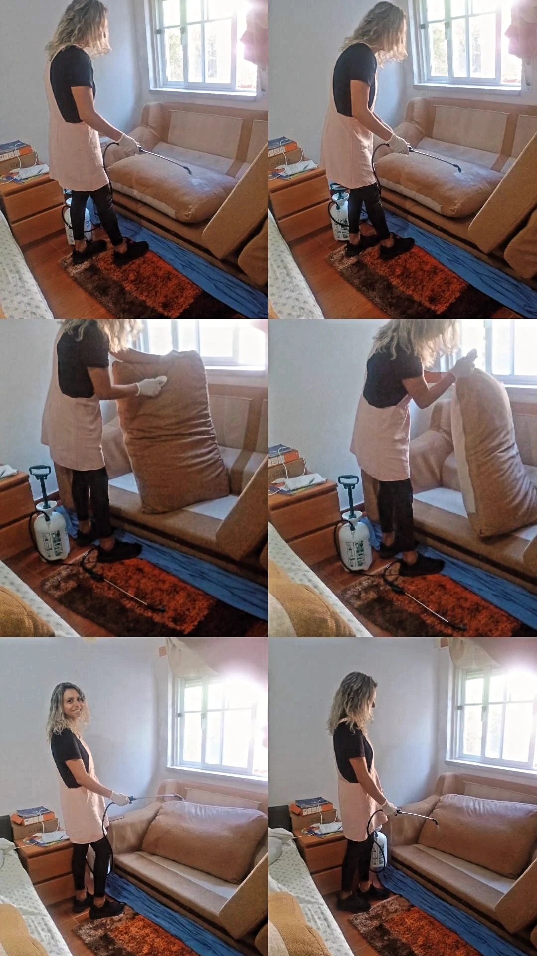 JG Clean Professional - Santarém - Mold Inspection and Removal