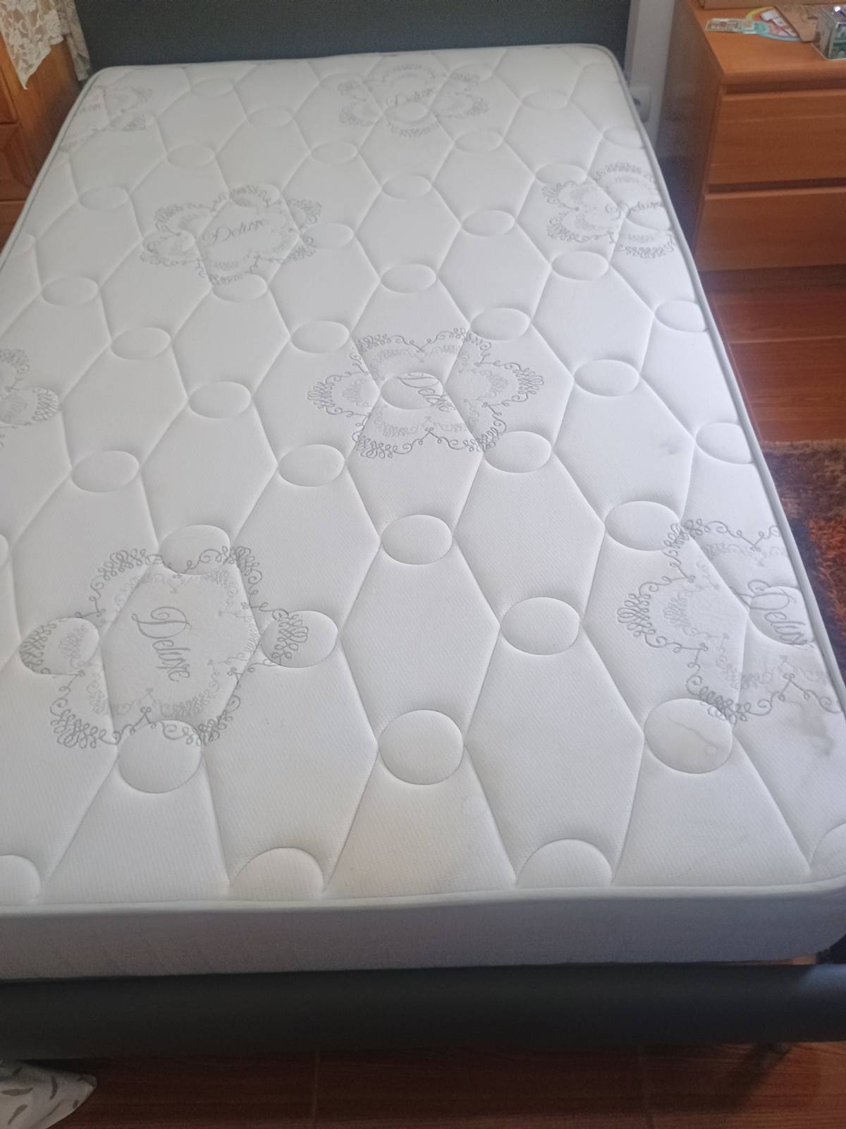 JG Clean Professional - Santarém - Rug Cleaning