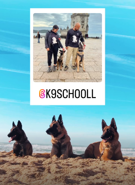 K9-SCHOOLL - Lourinhã - Animal Behavior Modification