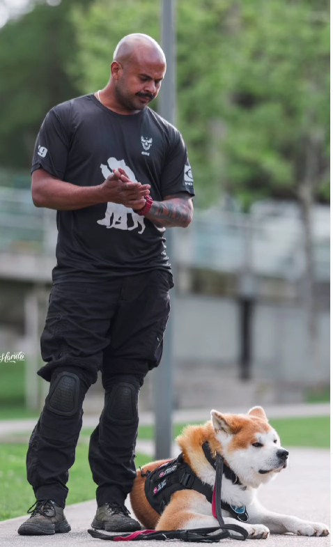 K9-SCHOOLL - Lourinhã - Dog Sitting