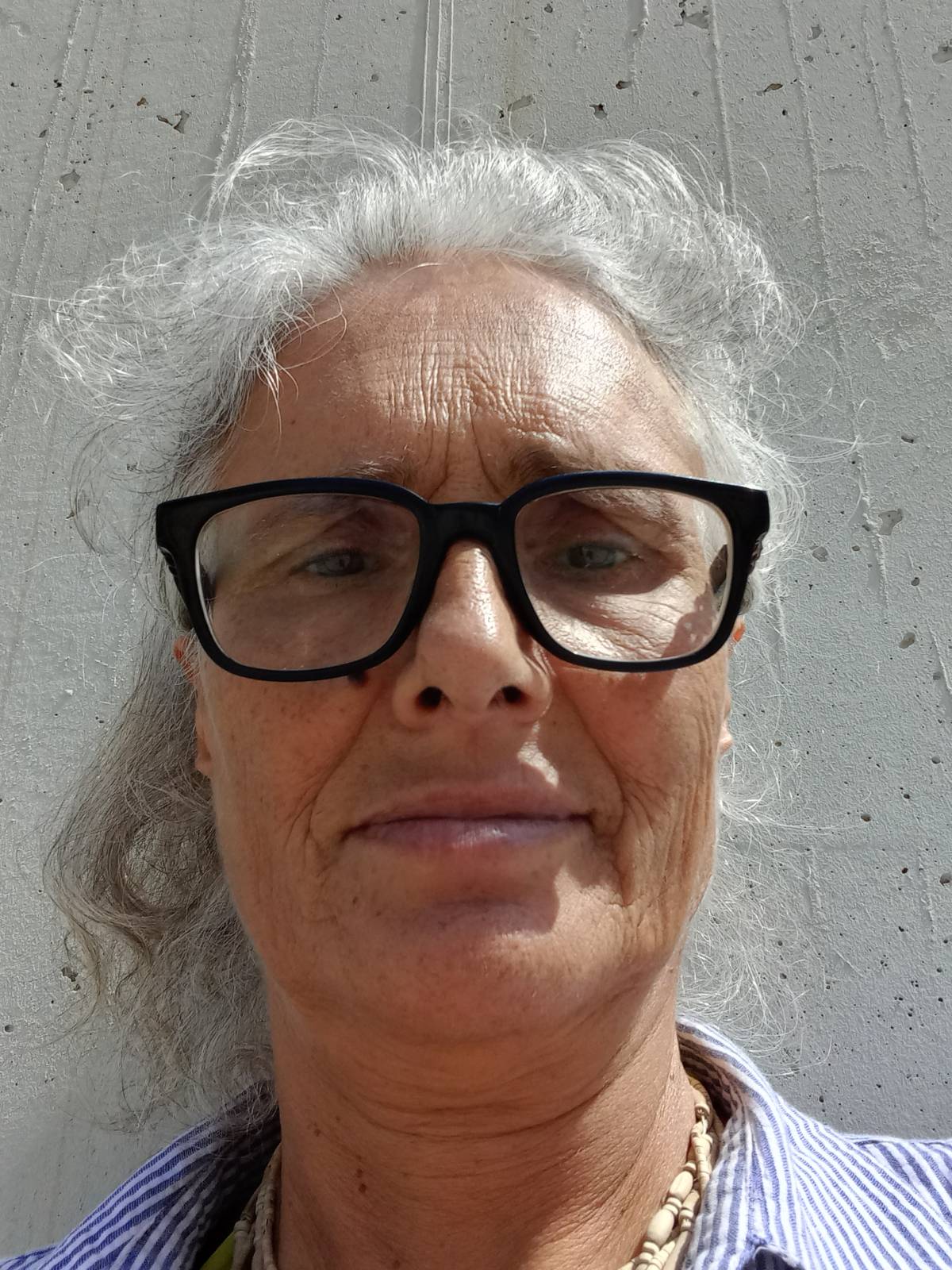 Fernanda Silvestre - Mafra - Haushalt organisieren