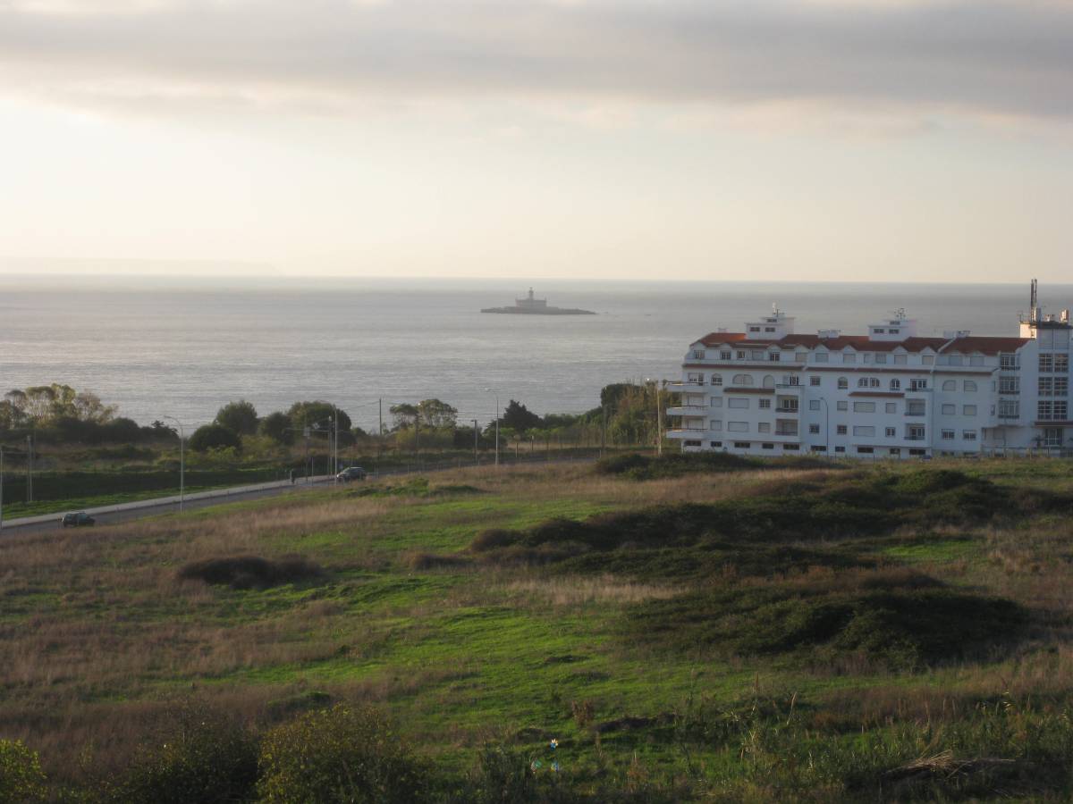 Ana - Oeiras - Dog Walking