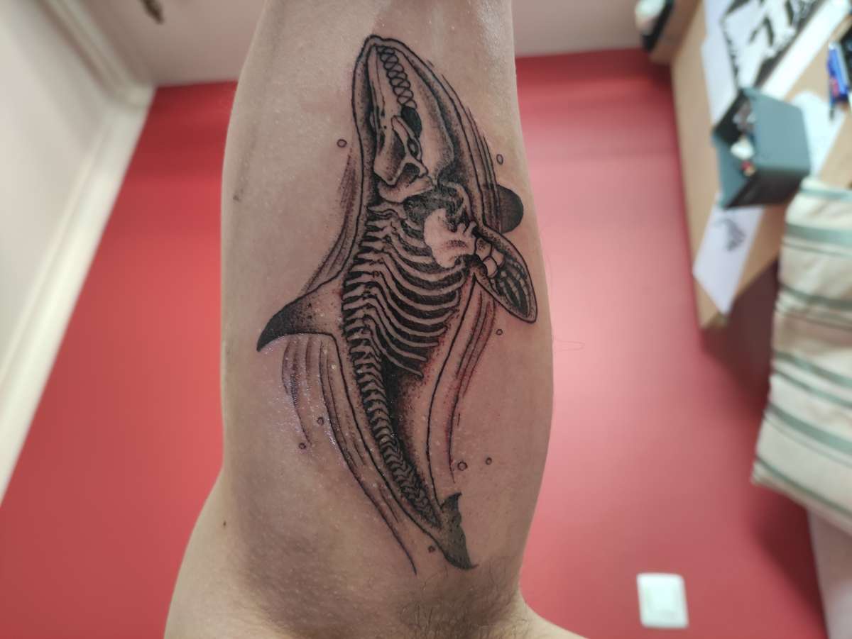 Hugo da Silva - Leiria - Tiendas de piercings
