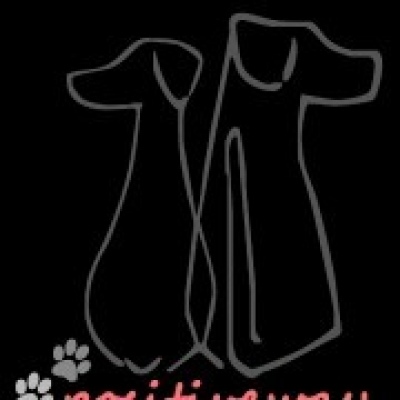 PositiveWay - Escola de Treino Animal - Condeixa-a-Nova - Hundesitter