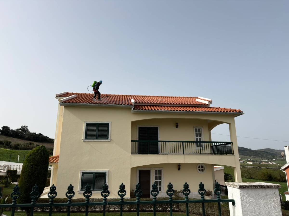 Pedra mestre - Lisboa - Remodelación de baños