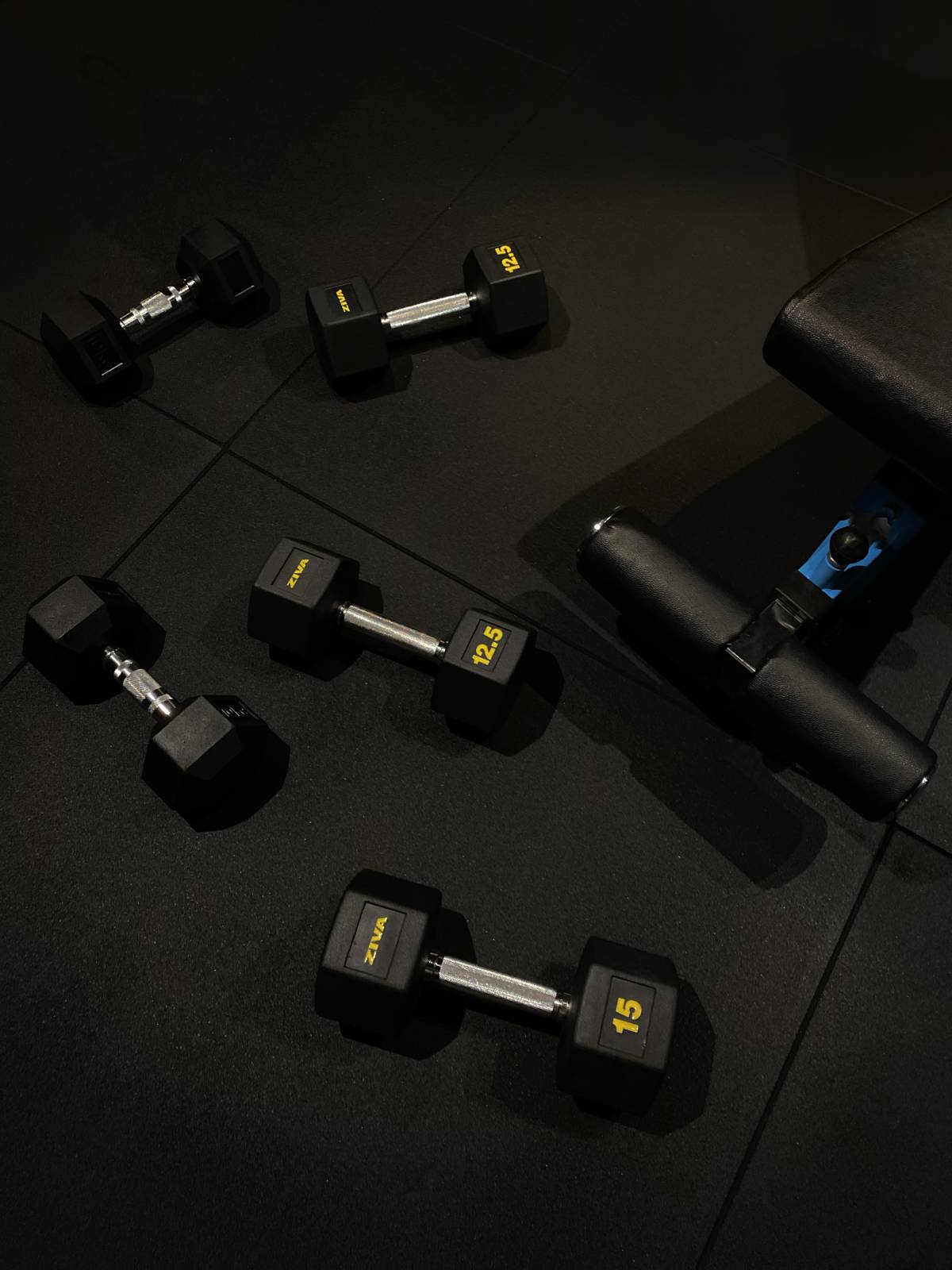 Personal Trainer - Estudio Treino Personalizado - Sintra - Fitness