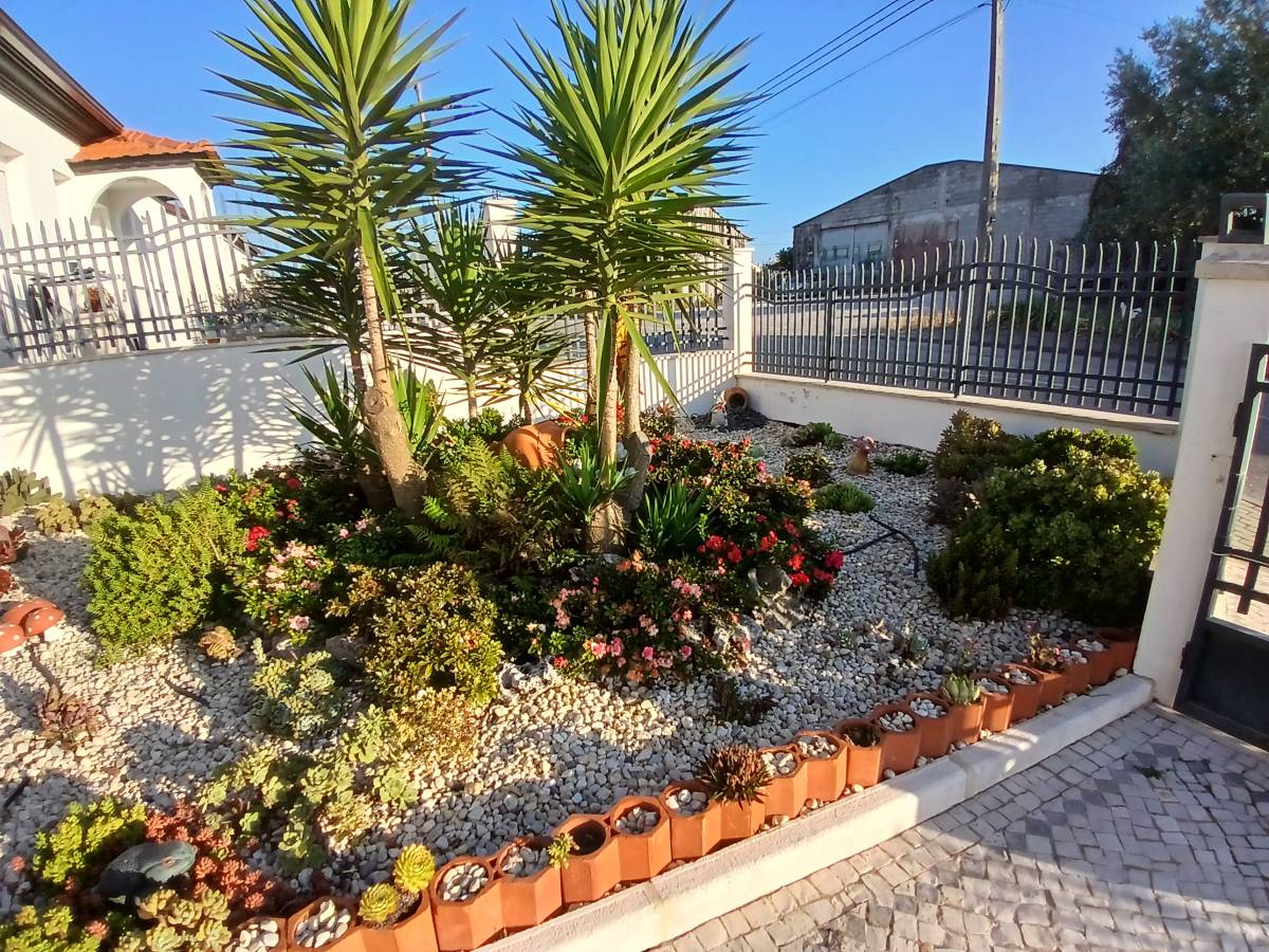 GardenSardet - Leiria - Multi Service Lawn Care