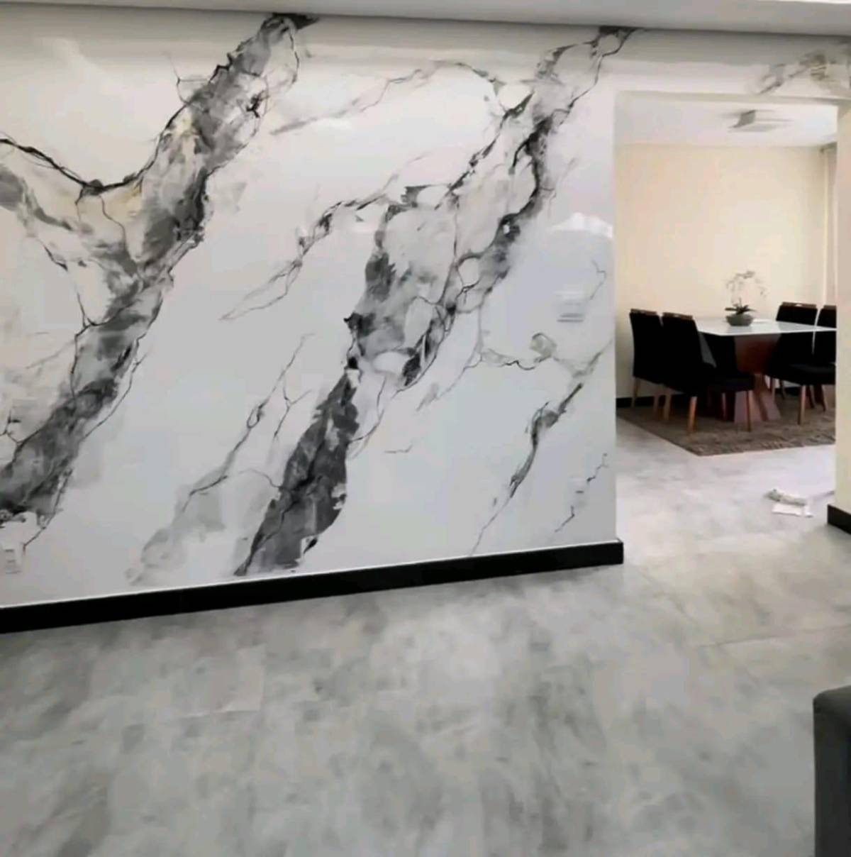 Francisco Trindade - Alcácer do Sal - Mold Inspection and Removal