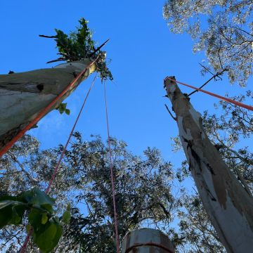 Sagui Arboricultura - Porto de Mós - Instalação de Relva Artificial