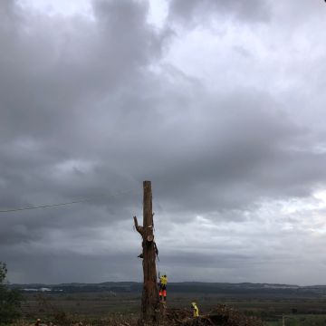 Sagui Arboricultura - Porto de Mós - Estufas