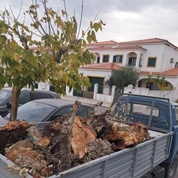 Recolha de resíduos - Seixal - Innenwand einbauen