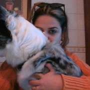 sara correia - Setúbal - Banhos e Tosquias para Animais