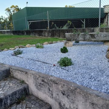 GardenSardet - Leiria - Remoção de Arbustos