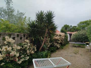 Jardinagem