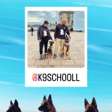 K9-SCHOOLL - Lourinhã - Animal Behavior Modification