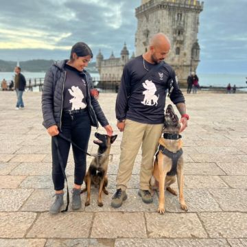 K9-SCHOOLL - Lourinhã - Dog Training