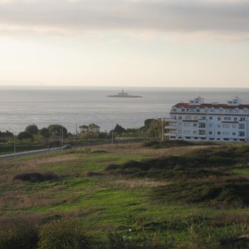 Ana - Oeiras - Dog Walking
