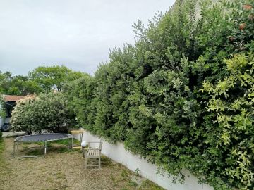 Serviço de Jardinagem - Casa