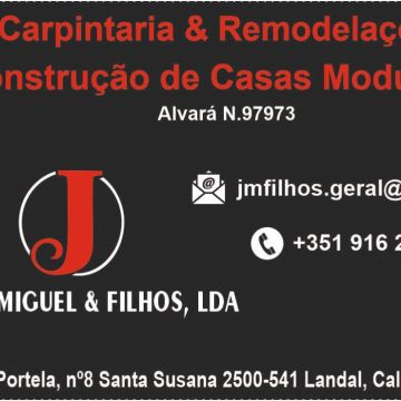 João Miguel - Caldas da Rainha - Cabinet Repair