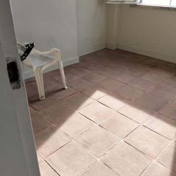 WS Operações - Sintra - Remoção de Tronco de Árvore