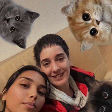 Paws and Tails pet care - Leiria - Cuidar tus mascotas