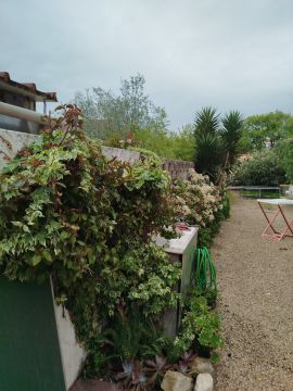 Jardinagem e Relvados
