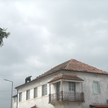 Felipe Corrêa unipessoal - Pombal - Maçonnerie
