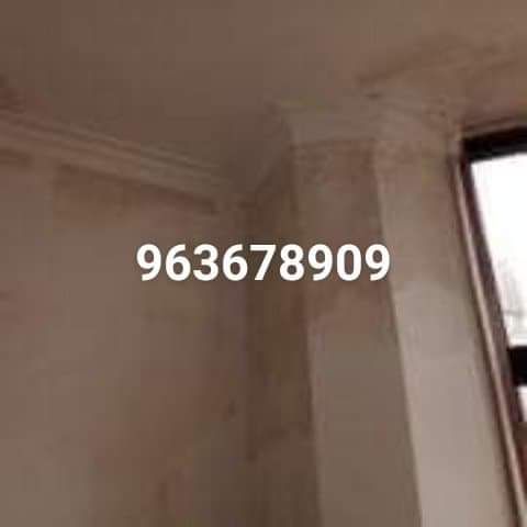 Pintura Martins - Viana do Castelo - Roof Cleaning