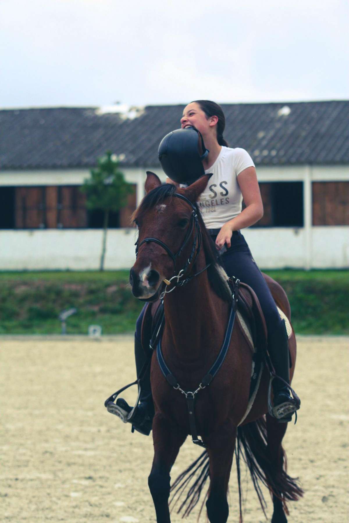 GQhorses - Ílhavo - Clases de equitación (para niños o adolescentes)
