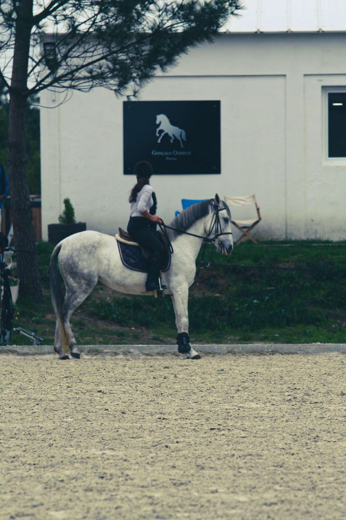 GQhorses - Ílhavo - Equitación