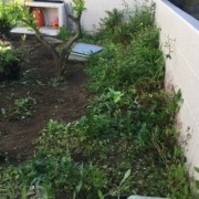 André Santos jardinagem - Vila Nova de Famalicão - Remoção de Arbustos