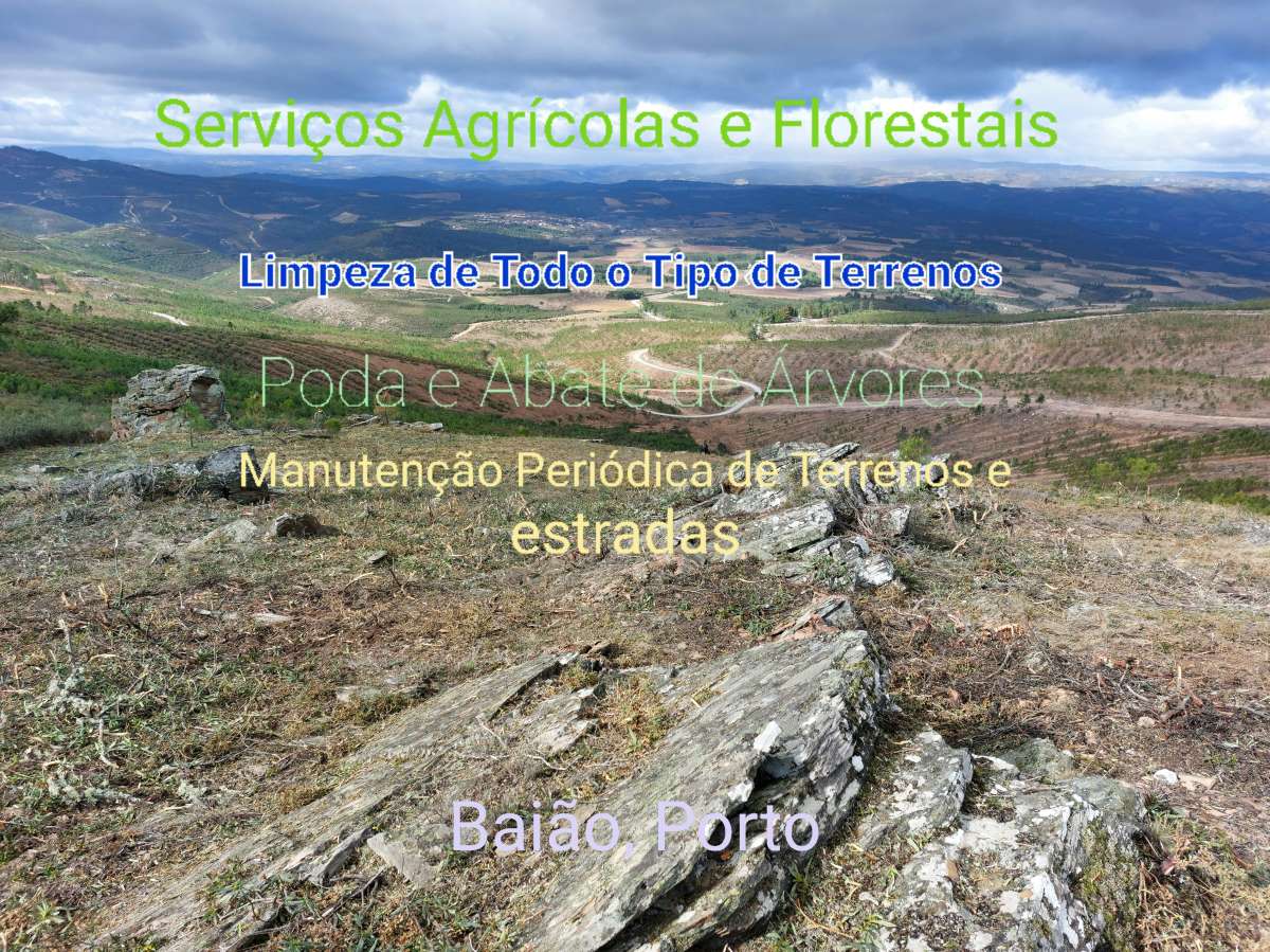 Jose Teixeira - Baião - Tree Trimming and Maintenance