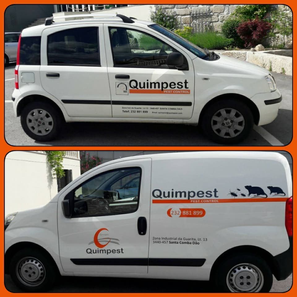 Quimpest-Serviços de Desinfestação - Santa Comba Dão - Pest Control