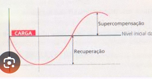 Rogerio Calisto Pisco - Évora - Personal Training