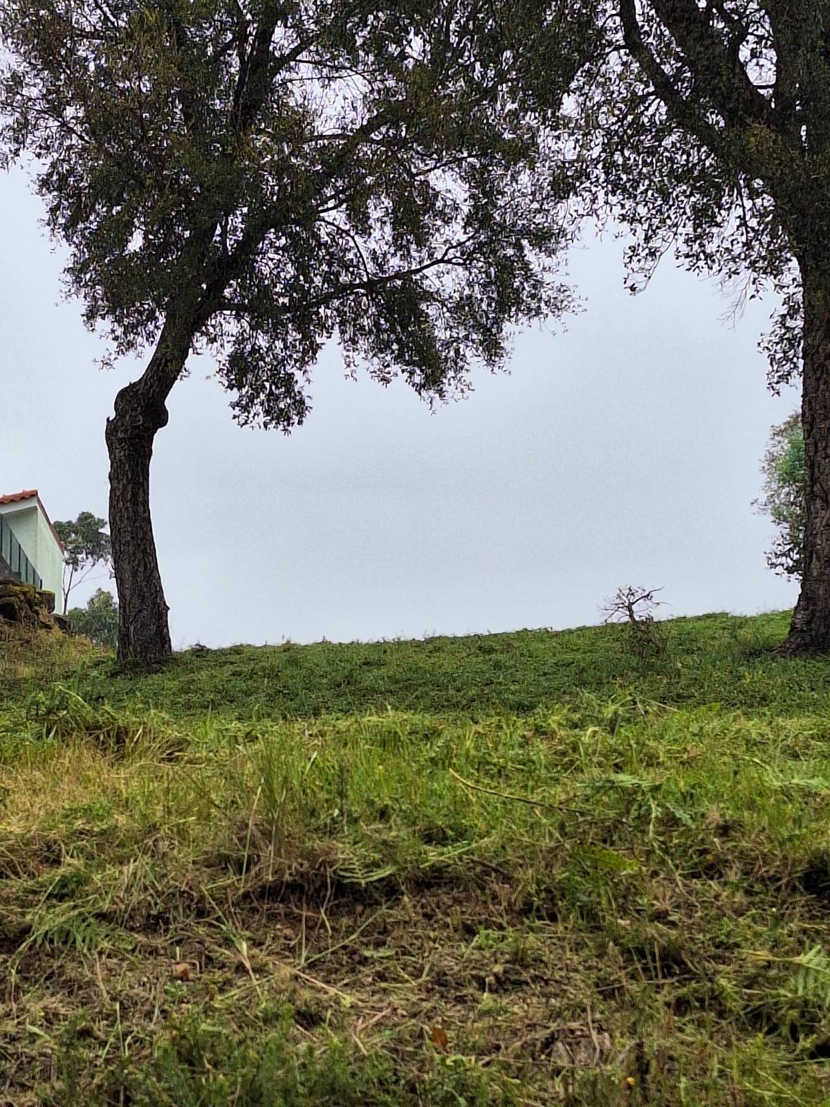 mvconstruçoes lda - Gondomar - Toiture ou couverture
