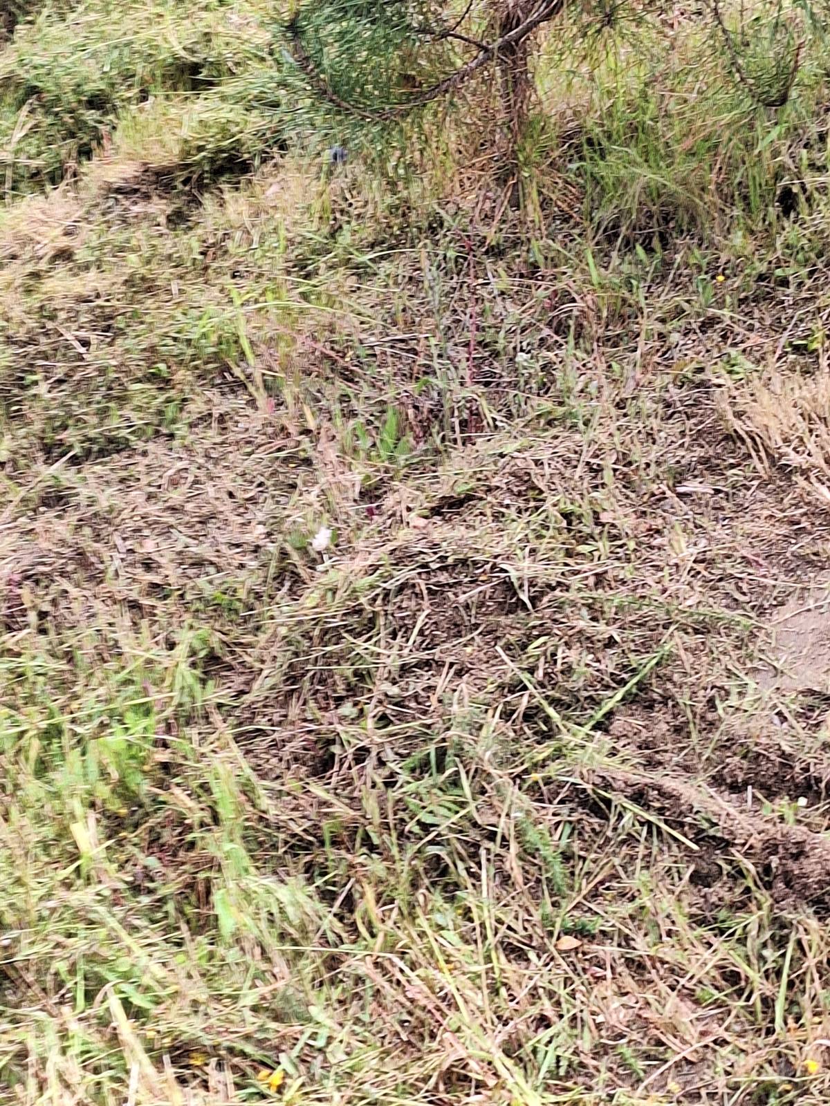mvconstruçoes lda - Gondomar - Spécialiste des revêtements de sol