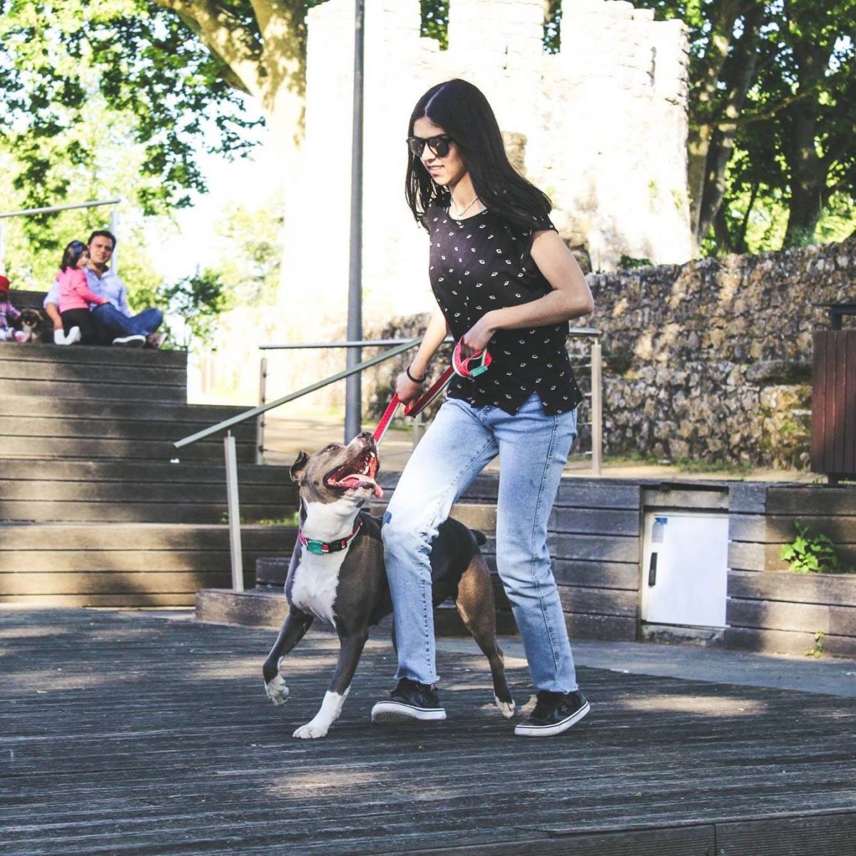 Joana Gonçalves - Santarém - Katzensitter