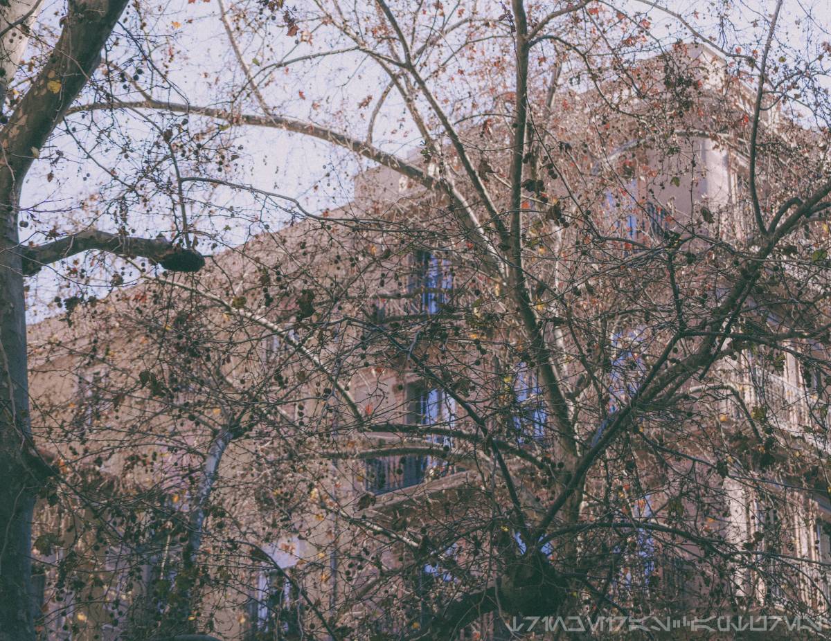 Tomas Trincheiras - Lisboa - Photographie de baptême