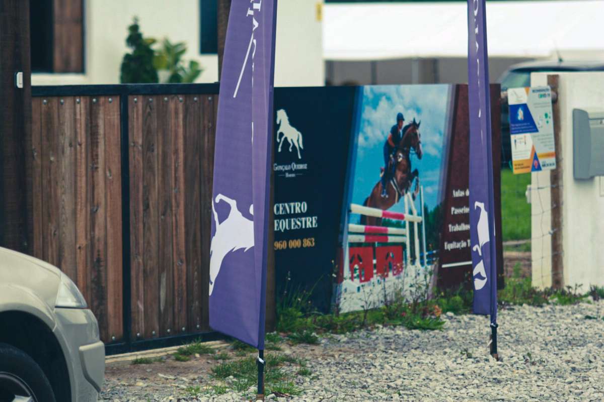 GQhorses - Ílhavo - Clases de equitación (para niños o adolescentes)