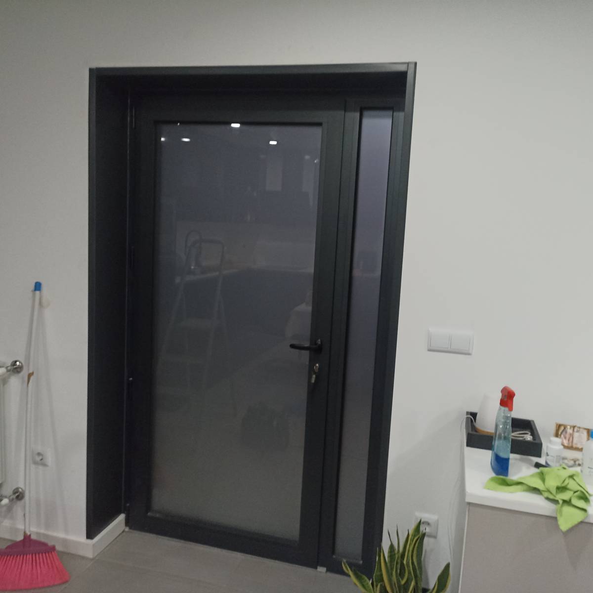 Vítor Hugo - Vila Verde - Pet Door Installation