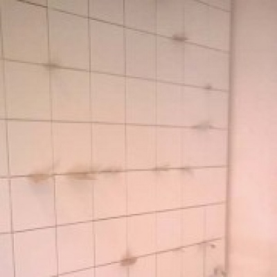 Fernando Fernandes - Viseu - Attic Remodel