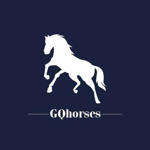 GQhorses - Ílhavo - Equitación