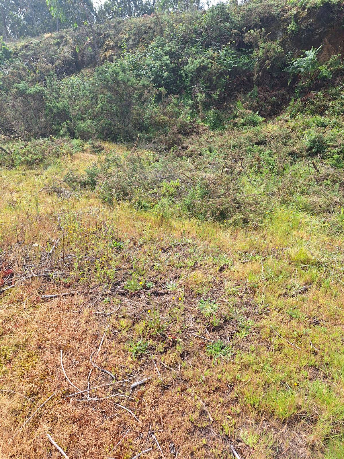 mvconstruçoes lda - Gondomar - Enlèvement de déchets et de gravats