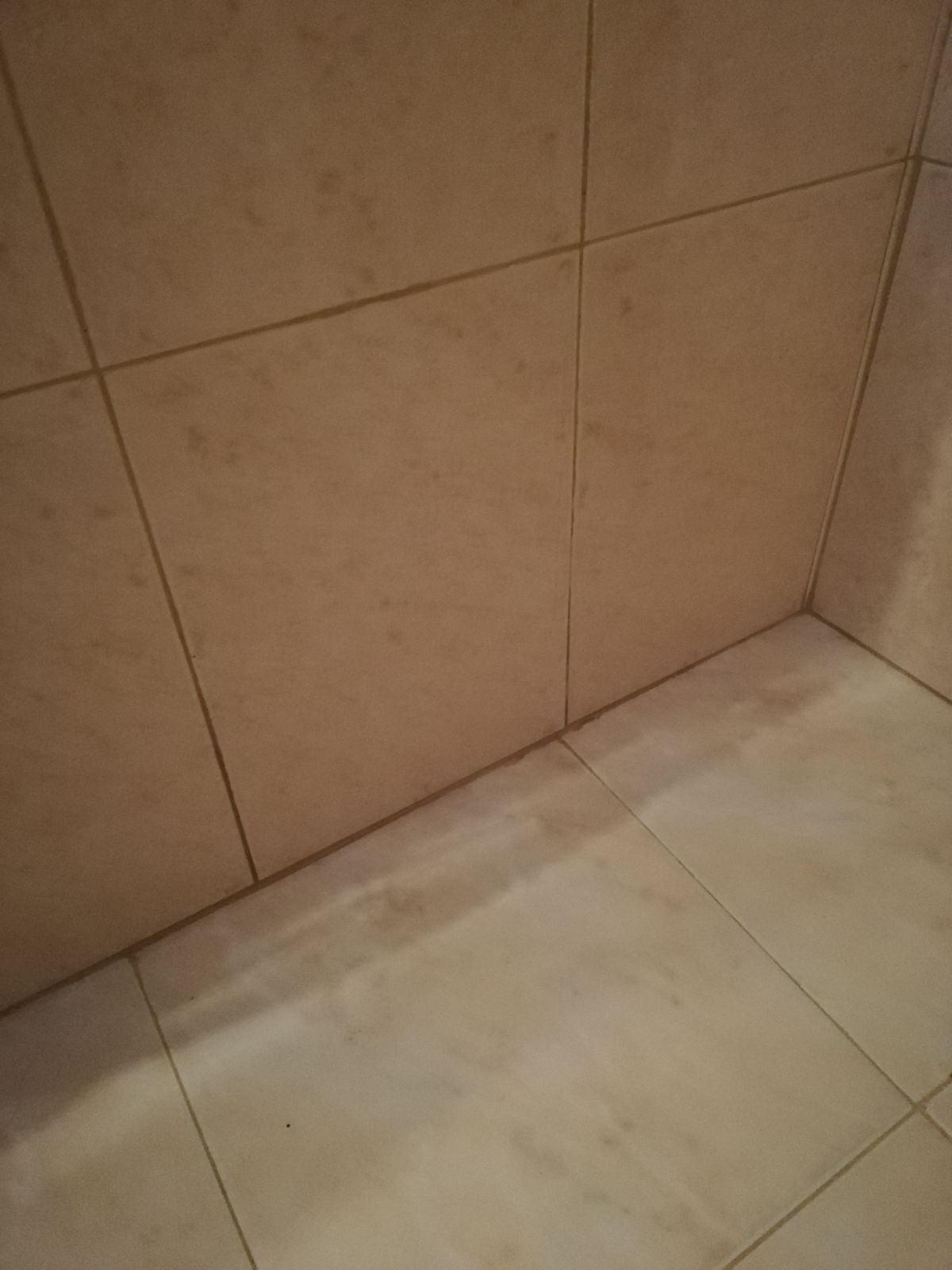 Baz - Faro - Floor Tiling